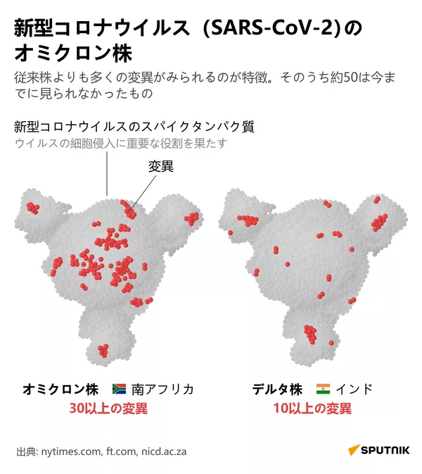 オミクロン株について(DESK) - Sputnik 日本