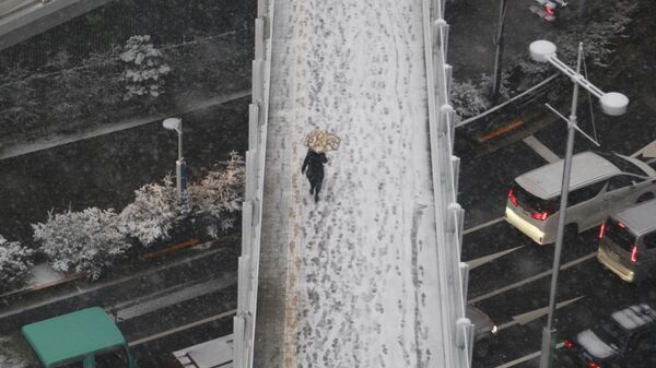 Снегопад в Токио - Sputnik 日本
