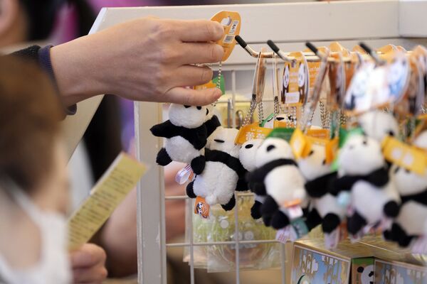 上野動物園内の売店で販売されている双子のジャイアントパンダ、シャオシャオ（雄）とレイレイ（雌）のマスコット（東京都台東区、12日） - Sputnik 日本