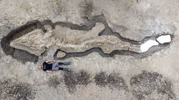 ラトランド・ウォーター自然保護区で発見されたイクチオサウルス（別名「魚竜」）の化石（英イングランド・ラトランド、10日） - Sputnik 日本
