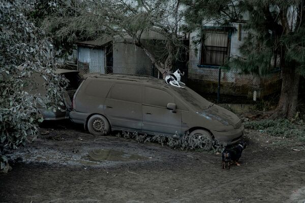 火山灰に覆われた車（トンガタプ島、16日） - Sputnik 日本