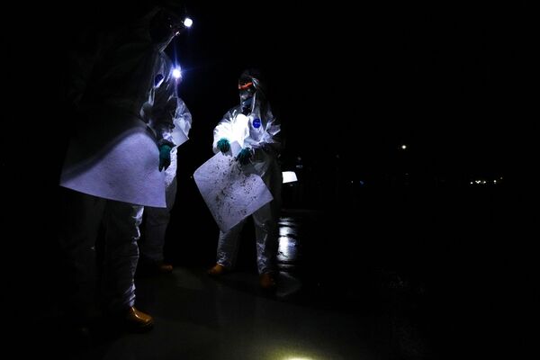 メー・ランプーンビーチで、特殊な素材でできた紙を使って原油を回収するタイ海軍兵士（タイ・ラヨーン県、28日） - Sputnik 日本