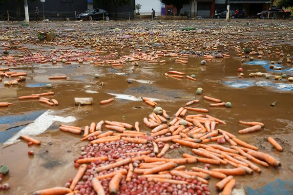 豪雨による洪水で道路に散乱する農作物（ブラジル・サンパウロ州、1月31日） - Sputnik 日本