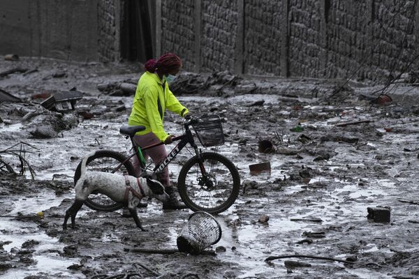 土砂災害の発生後、ぬかるみの中、犬を連れて自転車を押す住民（エクアドル・キト、日） - Sputnik 日本