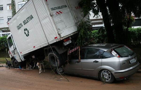 豪雨で破損した車の近くを歩く犬たち（ブラジル・ペトロポリス、16日） - Sputnik 日本