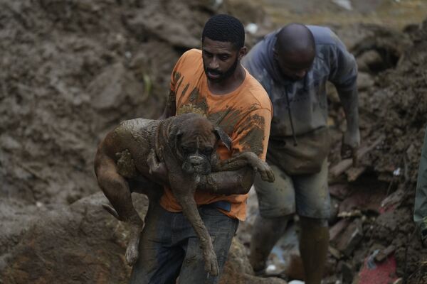 地滑りで倒壊した住宅から犬を救助する男性（ブラジル・ペトロポリス、16日） - Sputnik 日本