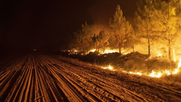 1月中旬から続く大規模な森林火災（アルゼンチン・コリエンテス州イトゥサインゴ近郊、19日） - Sputnik 日本