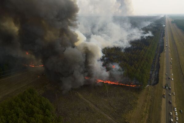 1月中旬から続く大規模な森林火災（アルゼンチン・コリエンテス州イトゥサインゴ近郊、19日） - Sputnik 日本