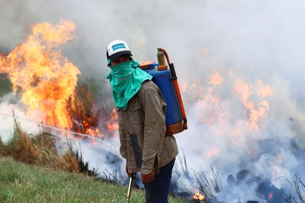 消火活動にあたる消防隊員（アルゼンチン・コリエンテス州イトゥサインゴ近郊、19日） - Sputnik 日本