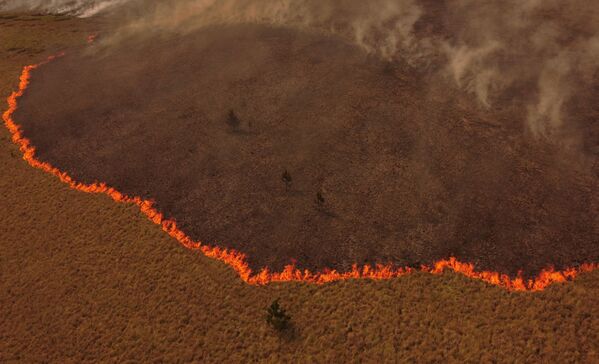 イベラ国立公園を焼き尽くす火災（アルゼンチン・コリエンテス州イトゥサインゴ近郊、19日） - Sputnik 日本
