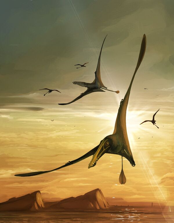 スカイ島で発掘された約1億7000万年前の翼竜「Dearc sgiathanach」のイメージ図 - Sputnik 日本