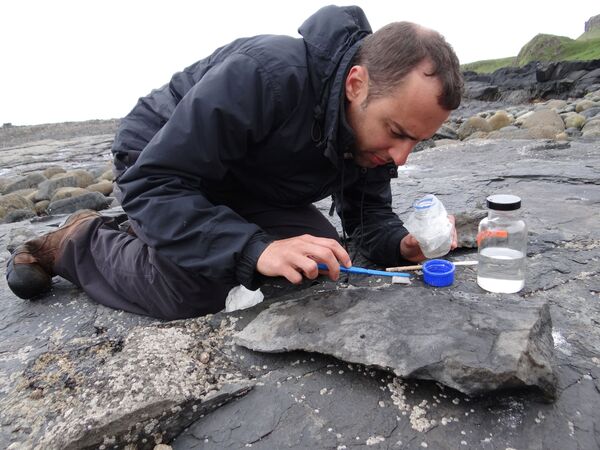 翼竜「Dearc sgiathanach」の化石の一部を保存する作業をおこなうエディンバラ大学のスティーブ・ブルサット教授（英スコットランド・スカイ島、2017年5月） - Sputnik 日本