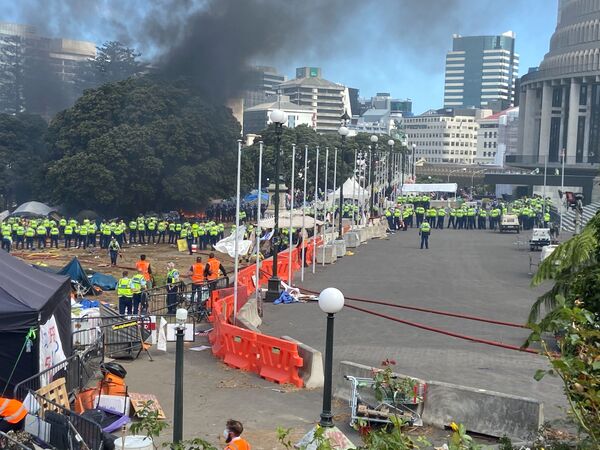 国会議事堂近くで行われたデモ（ニュージーランド・ウェリントン、2日） - Sputnik 日本