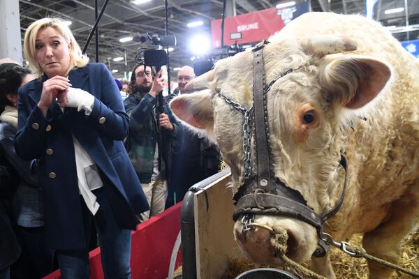 「パリ国際農業見本市」を訪れた極右政党「国民連合（RN）」のマリーヌ・ル・ペン党首（フランス・パリ、2日） - Sputnik 日本