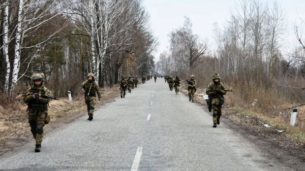 Украинские военные. Архивное фото - Sputnik 日本