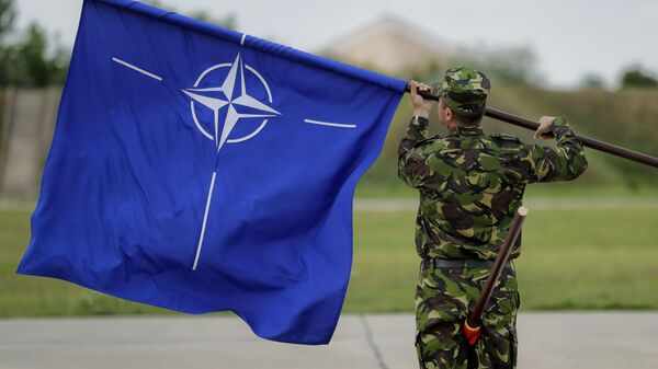 NATO旗を持つ兵士 - Sputnik 日本