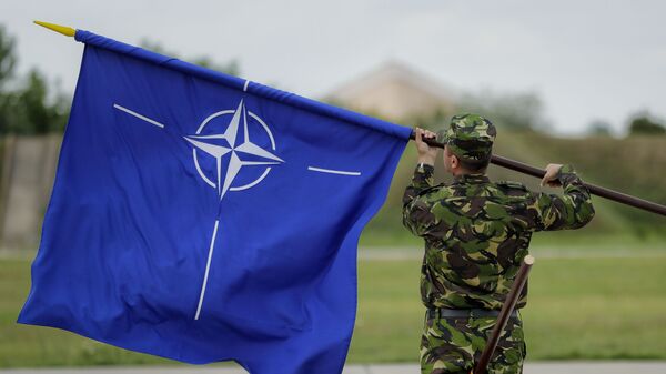 Военнослужащий с флагом НАТО - Sputnik 日本