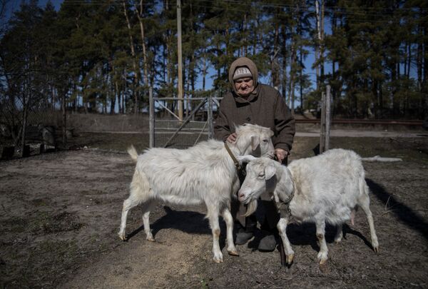 自宅でヤギの放牧をするヴェラ・ポルコヴニコワさん（ルガンスク人民共和国・ボロテンノエ、19日） - Sputnik 日本