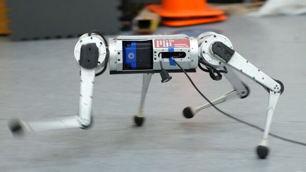 4脚ロボット「ミニチーター」 - Sputnik 日本