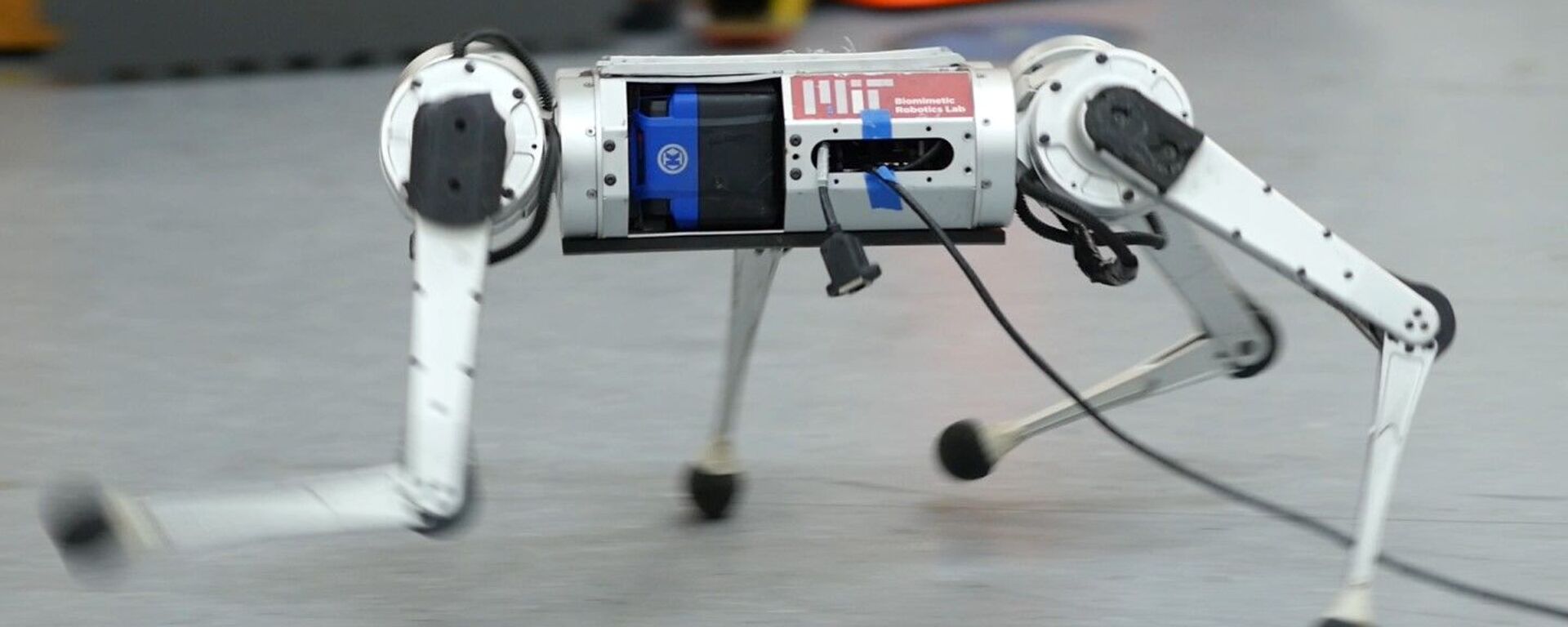 4脚ロボット「ミニチーター」 - Sputnik 日本, 1920, 21.03.2022