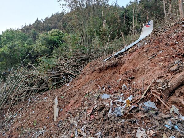 中国東方航空ボーイング737型機の墜落現場（中国・広西チワン族自治区梧州市近郊、21日） - Sputnik 日本