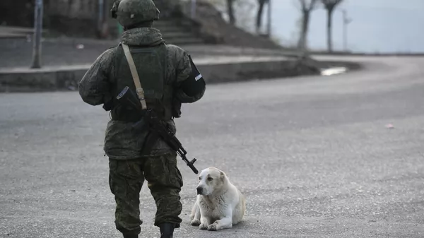 ロシアの軍人 - Sputnik 日本