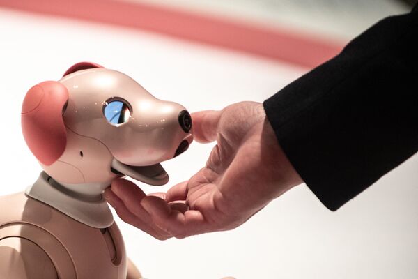 「きみとロボット展」で展示されているソニーの犬型ロボット「Aibo（アイボ）」（東京都江東区、22日） - Sputnik 日本