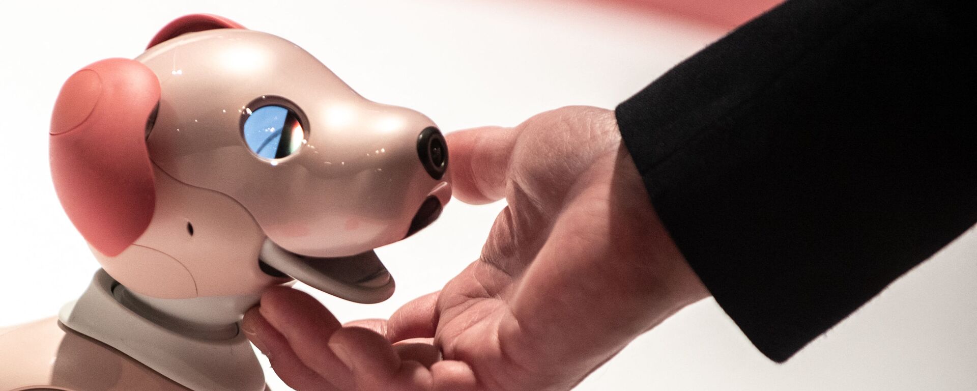 「きみとロボット展」で展示されているソニーの犬型ロボット「Aibo（アイボ）」（東京都江東区、22日） - Sputnik 日本, 1920, 23.03.2022