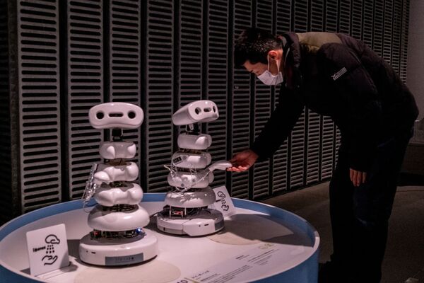 「きみとロボット展」で展示されている豊橋技術科学大学インタラクションデザイン研究室（ICD-LAB）のロボット「iBones（アイ・ボーンズ）」（東京都江東区、22日） - Sputnik 日本