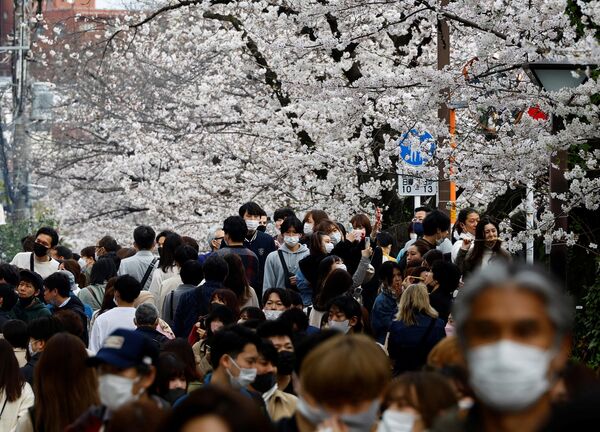 目黒川沿いに咲く桜を撮影する人々（東京都、27日） - Sputnik 日本
