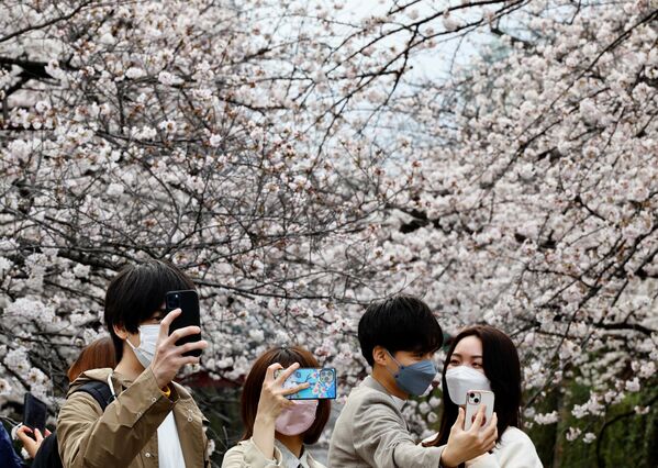 目黒川沿いに咲く桜をバックに自撮りする人々（東京都千代田区、27日） - Sputnik 日本