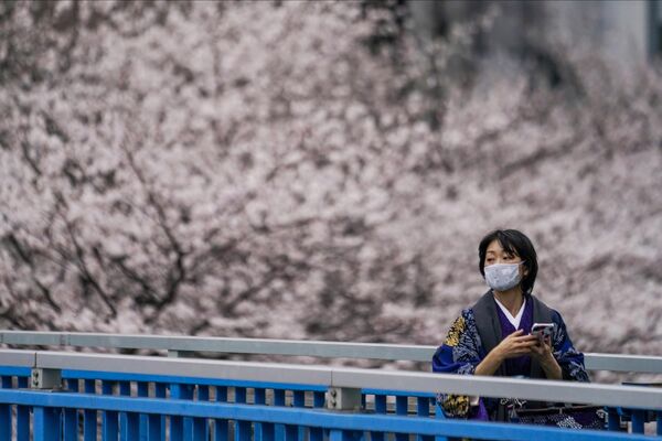 着物姿で花見をする女性（東京都、27日） - Sputnik 日本