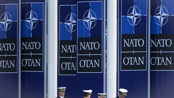 NATO(北大西洋条約機構) - Sputnik 日本