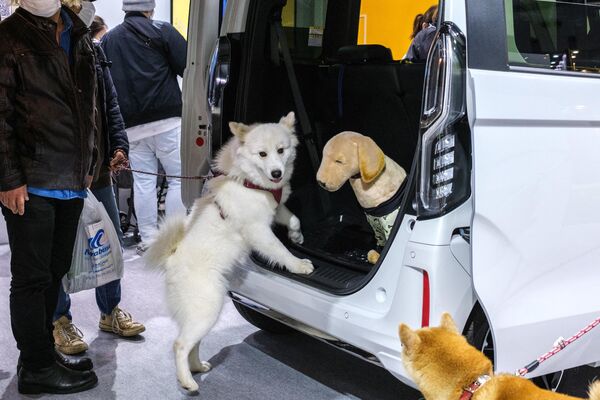 展示ブースに設置された車に興味を示す犬（東京都江東区、1日） - Sputnik 日本