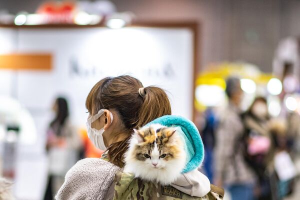 愛猫と一緒に「インターペット」を訪れた女性（東京都江東区、1日 - Sputnik 日本