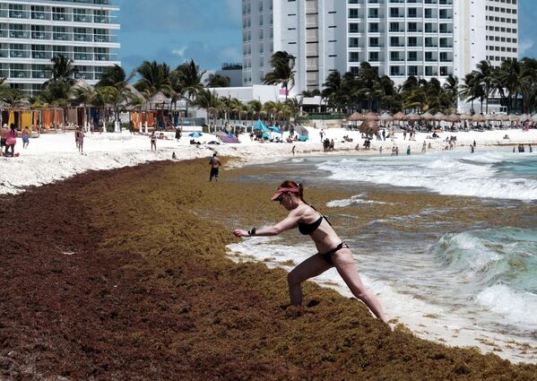 海藻に覆われたビーチを歩く海水浴客（メキシコ・カンクン、3日） - Sputnik 日本