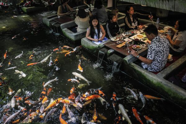 レストランの池で泳ぐ鯉を眺める客（タイ・チェンマイ、12日） - Sputnik 日本