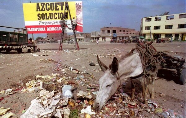 ごみ捨て場で食べ物をあさるロバ（ペルー・リマ郊外、1993年1月21日） - Sputnik 日本