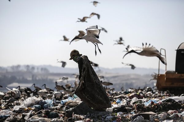 埋立地で廃棄物をかき分ける開墾者（南アフリカ・ヨハネスブルグ、2018年6月29日） - Sputnik 日本