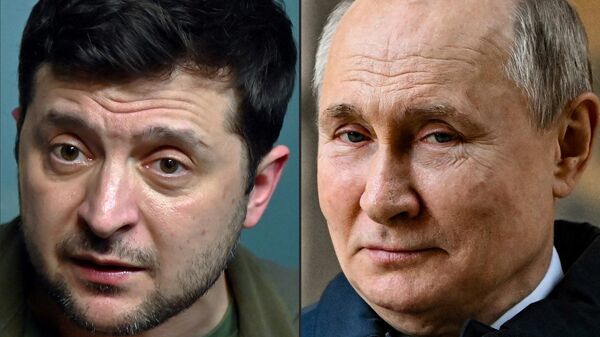 ウクライナのゼレンスキー大統領とロシアのプーチン大統領 - Sputnik 日本