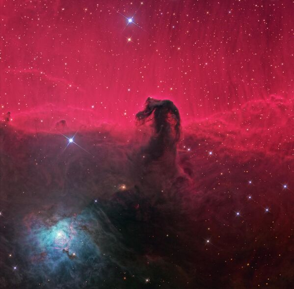 オリオン座にある「馬頭星雲（ばとうせいうん、IC434）」。馬の頭に似ていることで有名 - Sputnik 日本
