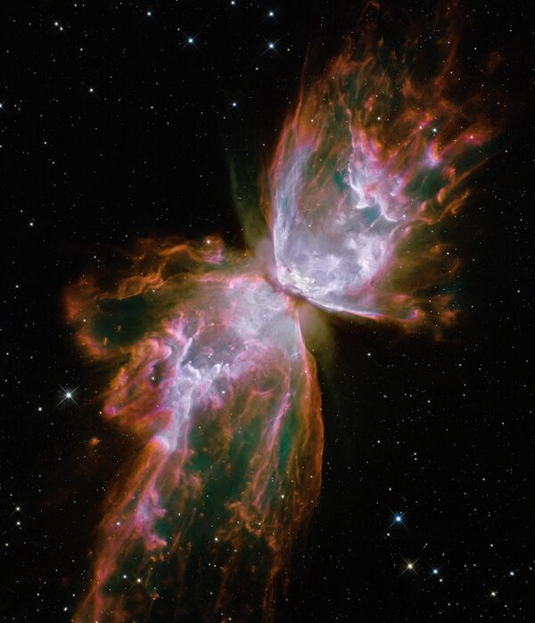 さそり座にある双極性の惑星状星雲「NGC 6302」。別米「バタフライ星雲」とも呼ばれる - Sputnik 日本