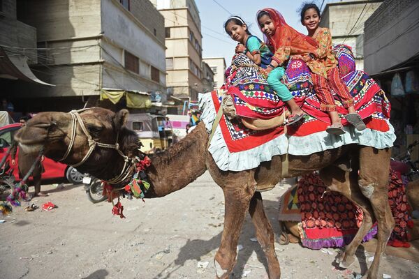 ラマダン終了を祝う「イド・アル＝フィトル」2日目、ラクダに乗る少女たち（パキスタン・カラチ、4日） - Sputnik 日本