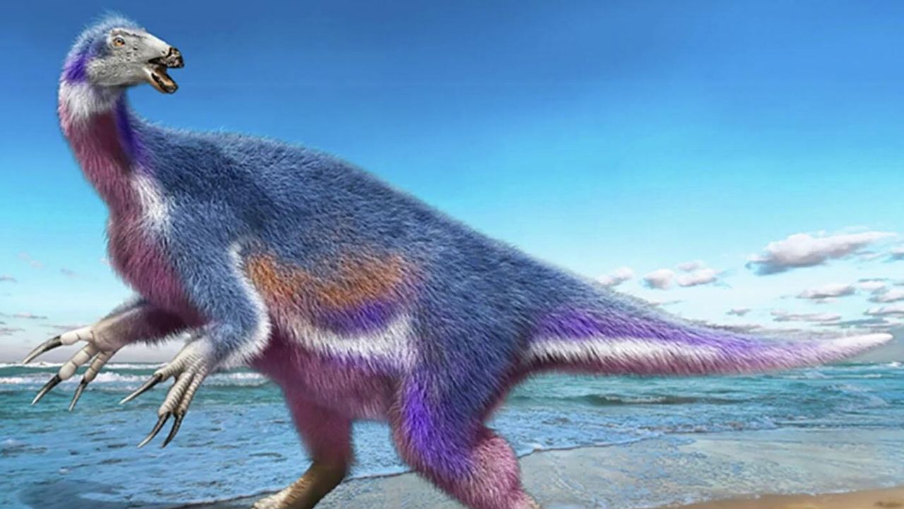 日本の研究者、テリジノサウルス科の新種の恐竜を発見 - 2022年5月11日