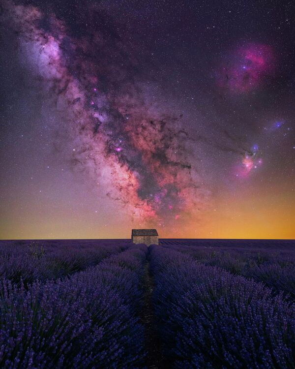 トップ25入選作品『House of Lavender』　Benjamin Barakat（フランス）仏南東部のヴァレンソール高原にあるラベンダー畑で撮影  - Sputnik 日本