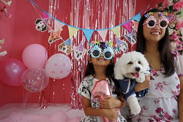 ドッグカフェ「Happy Bark Day」で誕生日を祝う犬（アラブ首長国連邦・ドバイ、30日） - Sputnik 日本