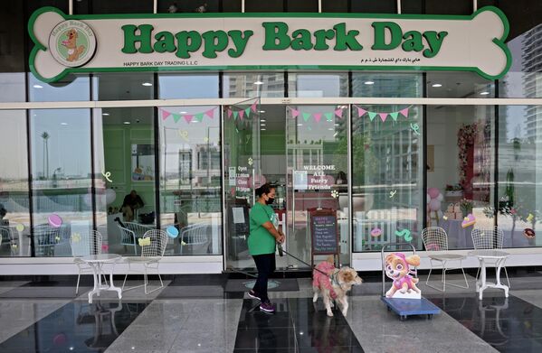ドッグカフェ「Happy Bark Day」の外観（アラブ首長国連邦・ドバイ、30日） - Sputnik 日本