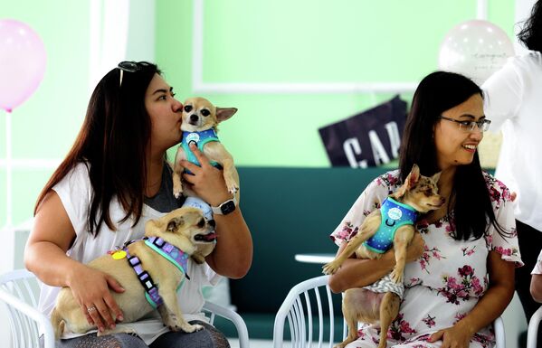 犬の誕生日を祝うため、ドッグカフェ「Happy Bark Day」に集まった人々（アラブ首長国連邦・ドバイ、30日） - Sputnik 日本