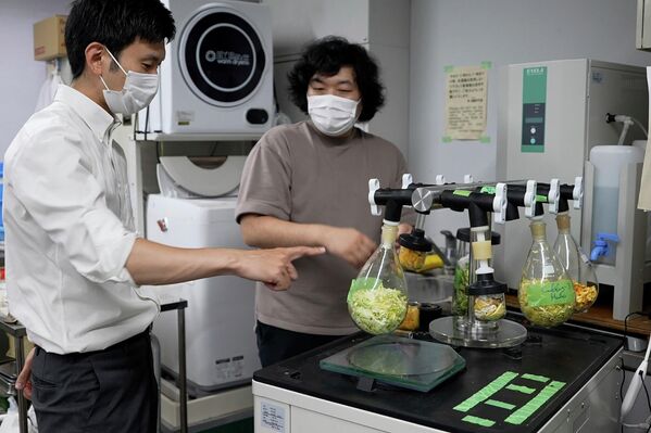 乾燥させた野菜や果物の皮を粉砕する前に確認をとる酒井准教授と町田CEO（日本・東京都千代田区、26日） - Sputnik 日本