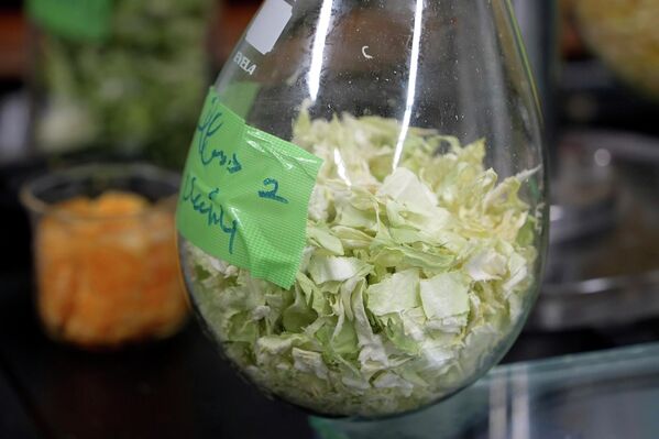 フラスコの中で乾燥させている白菜（日本・東京都千代田区、26日） - Sputnik 日本